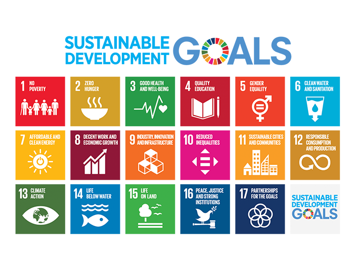 sdg-poster.png